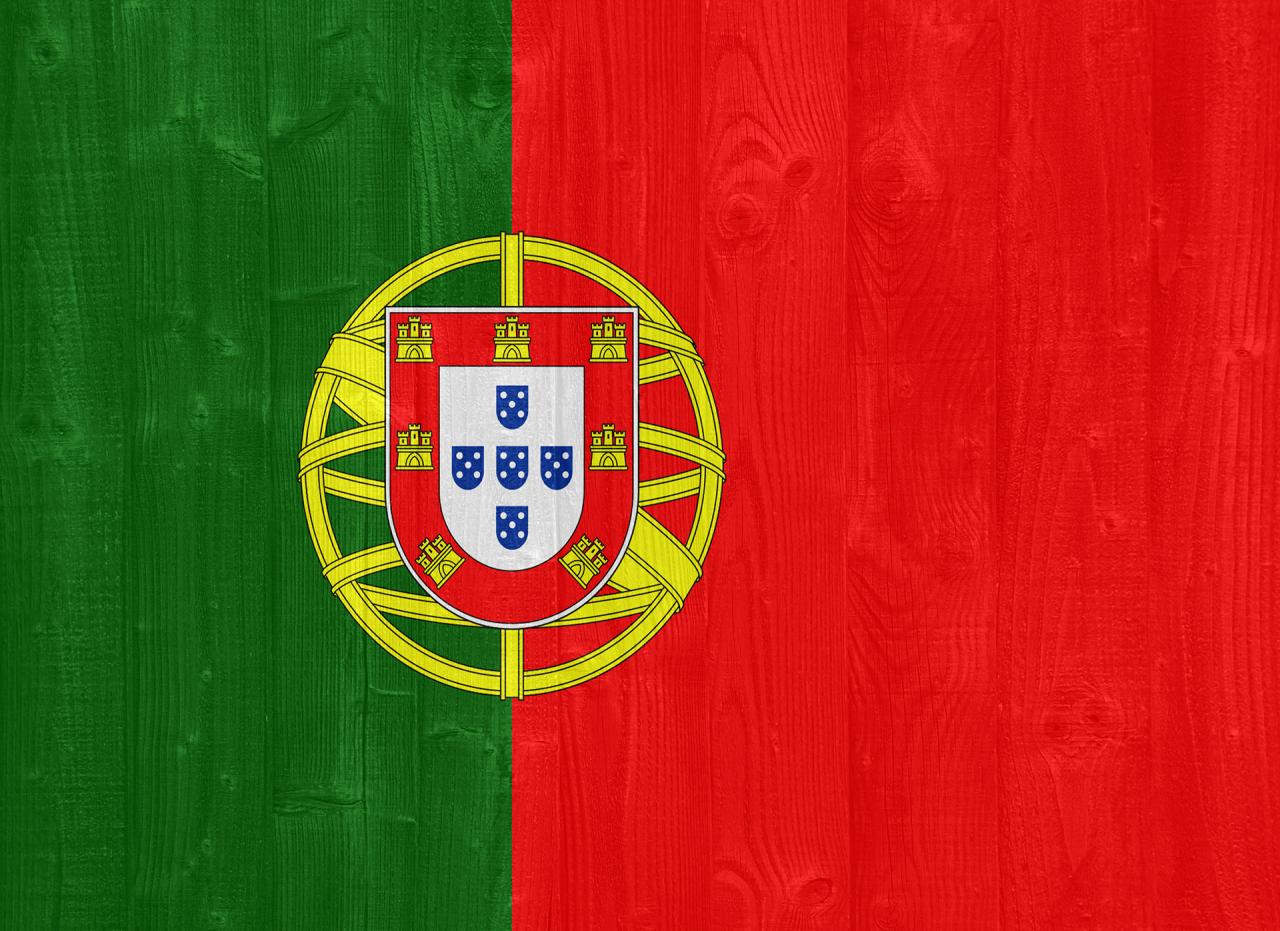 Língua Portuguesa e Linguística